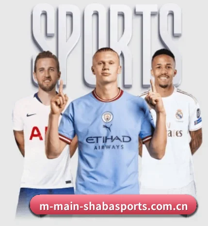每个板块围绕一个运动项目展开 - 多运动项目内容板块 | SPORTSSPORTS